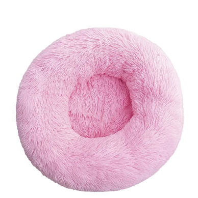 Transform Your Pet's Comfort and Happiness!